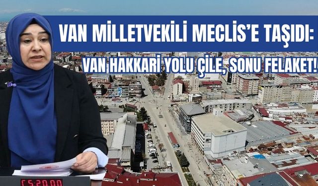 Van Milletvekili Meclis’e Taşıdı: Van Hakkari Yolu Çile, Sonu Felaket!