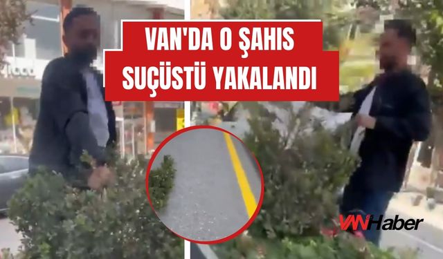 Van’da refüjdeki ağaçlara zarar veren şahıs suçüstü yakalandı