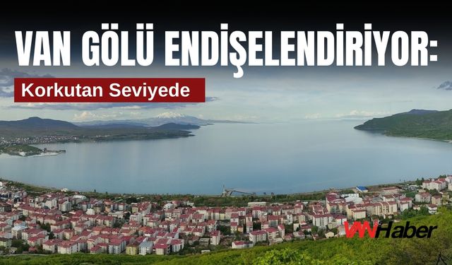 Van Gölü Endişelendiriyor: Korkutan Seviyede