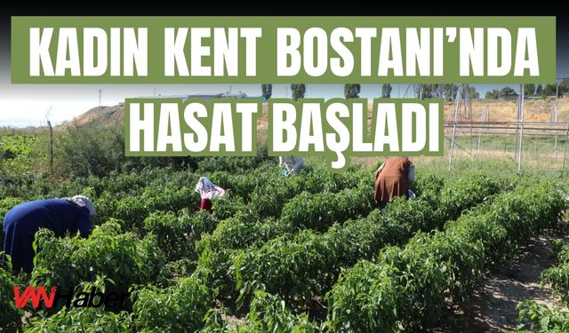 Kadın Kent Bostanı’nda Hasat Başladı