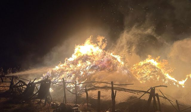 Erzurum Tekman’da Ot Yangını: Balya Balya Ot Kül Oldu