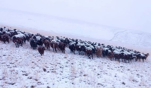 Ağrı’da yüksek kesimlere mevsimin ilk karı düştü