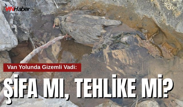 Şifa mı, Tehlike mi? Hakkâri’de Gizemli Vadi