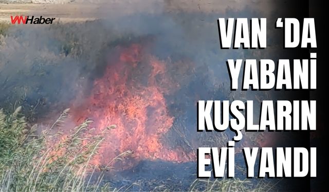 Van ‘da Yabani Kuşların Evi Yandı