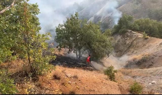 Bingöl’deki orman yangını kontrol altına alındı