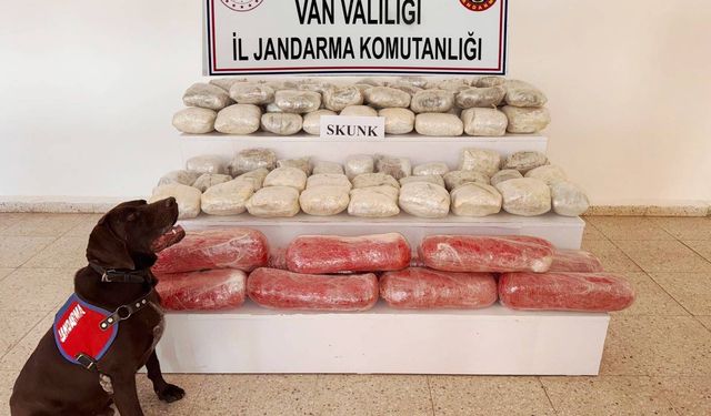 Van’da 61,9 Kilo Skunk Ele Geçirildi