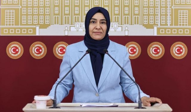 Van’da Trafik Sorunu Her Geçen Gün Büyüyor
