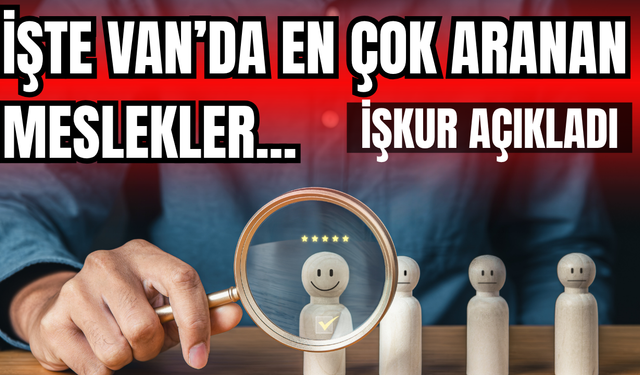 İŞKUR açıkladı: İşte Van ve ilçelerinde en çok aranan meslekler!