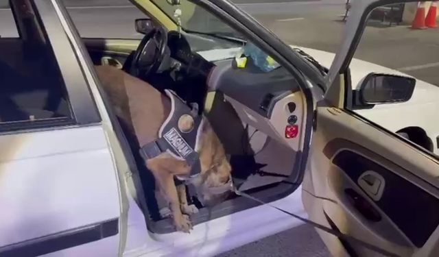 Erzurum'da Araçta Gizlenmiş Uyuşturucuyu 'Magnum' Buldu