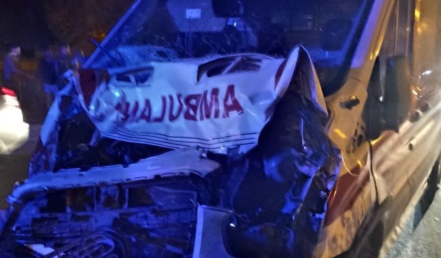 Bitlis’te Ambulans Mandaya Çarptı: Hasta Başka Ambulansla Taşındı!