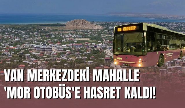 Van Merkezdeki Mahalle 'Mor Otobüs'e Hasret Kaldı!