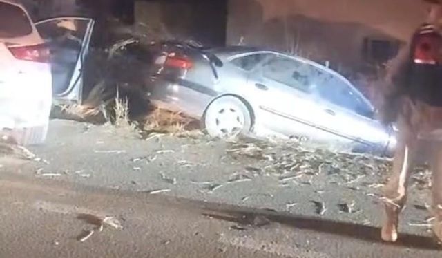 İki otomobil kafa kafaya çarpıştı: Ölü ve yaralılar var!