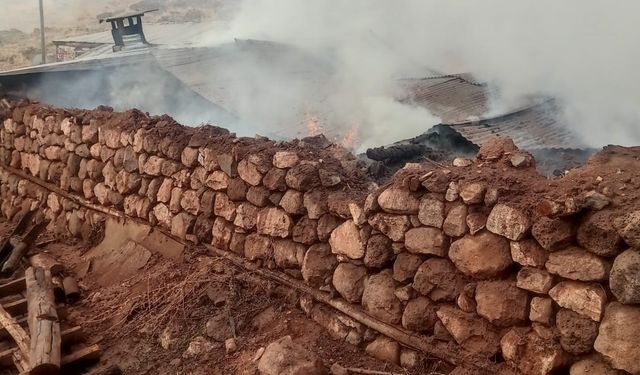 Erzurum’un Hınıs İlçesinde Ahır Yangını: 21 Büyükbaş Hayvan Telef Oldu