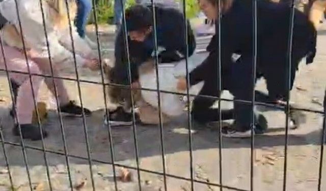 Kartal Adliyesi Önünde Yumruklu Kavga