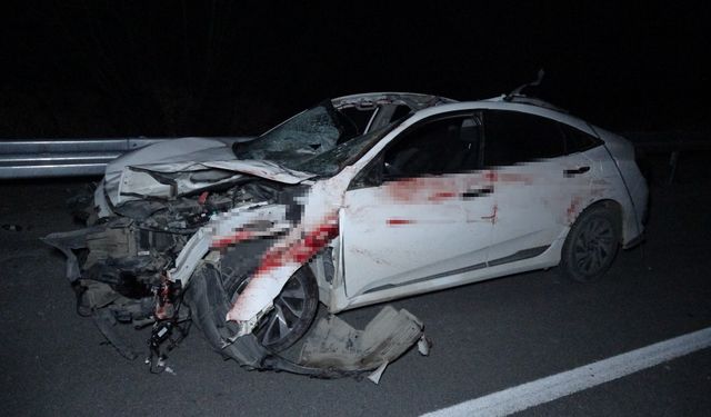 Feci Olay! Milyonluk Taylar Telef Oldu