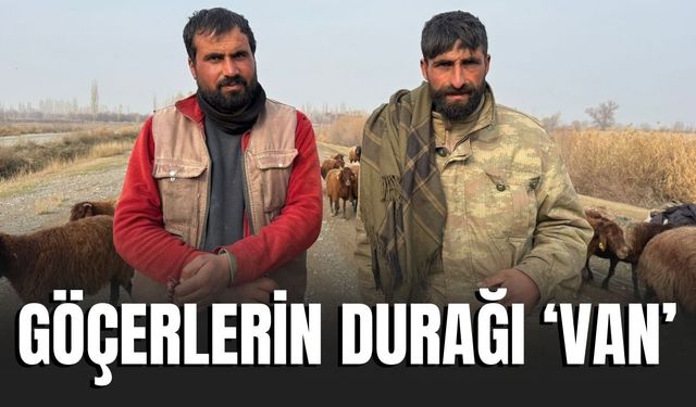 Iğdırlı Göçerler Binlerce Hayvanla Yayladan Dönüş Yolculuğunu Tamamladı