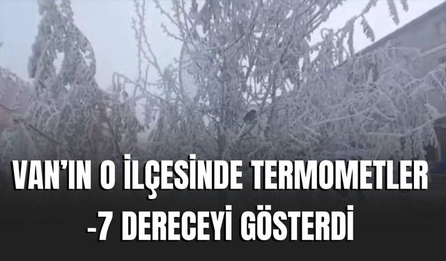Van Çaldıran’da Dondurucu Soğuk: Sıcaklık -7 Dereceye Düştü
