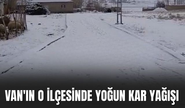 Van'ın Gürpınar İlçesinde Yoğun Kar Yağışı