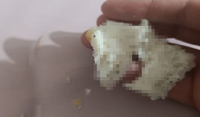 Hakkari’de Ekmeğin İçinden Fare Dışkısı Çıktı!