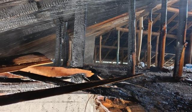 Van Gevaş’ta Yangın Paniği!