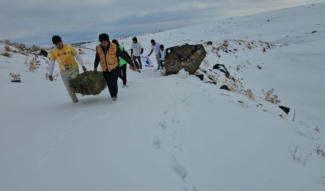 Vangölü Aktivistleri Yaban Hayvanları İçin Seferber Oldular