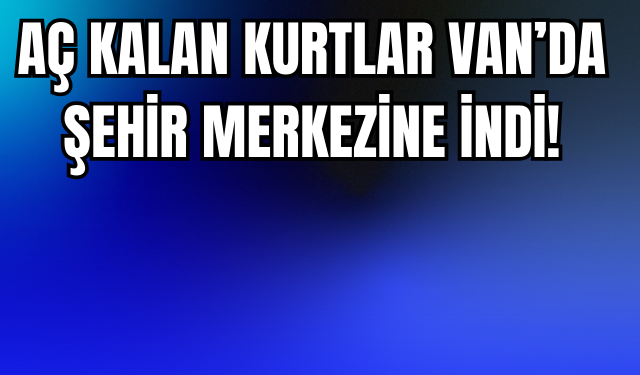 Aç Kalan Kurtlar Erciş’te Şehir Merkezine İndi!