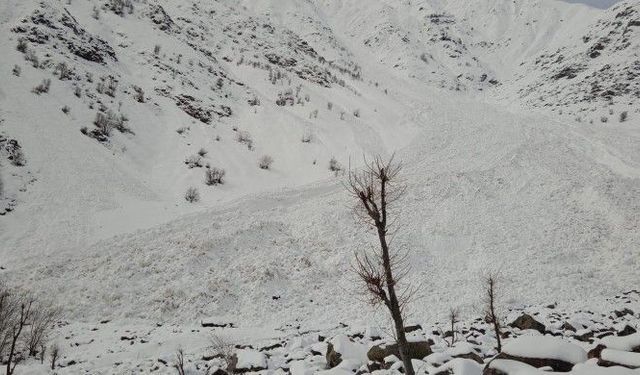 Hakkari’de 150 Keçi Telef Oldu!
