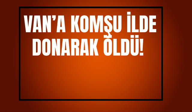 Yüksekova’da Sibirya Soğukları: Tilki Ayakta Donarak Telef Oldu