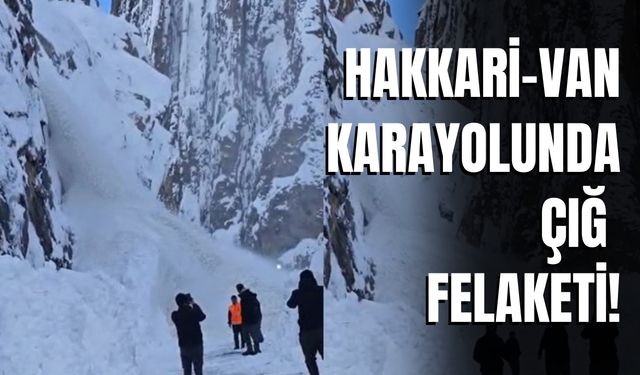 Hakkari-Van Karayolunda Çığ Felaketi!