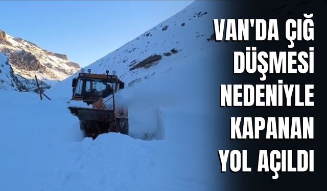 Van'da Çığ Düşmesi Nedeniyle Kapanan Yol Açıldı