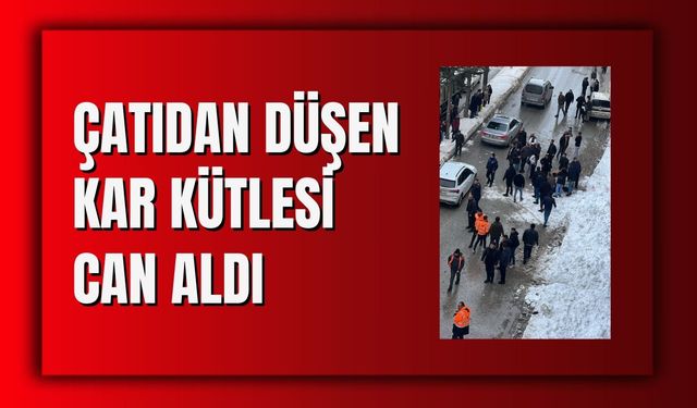 Çatıdan Düşen Kar Kütlesi Can Aldı