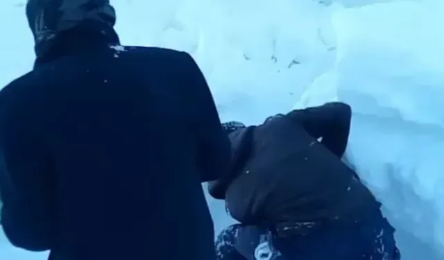 Gürpınar’da Çığ Felaketi: Onlarca Hayvan Telef Oldu!