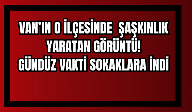 Erciş Keklikova Mahallesi’nde Gündüz Ayı Görüntülendi!