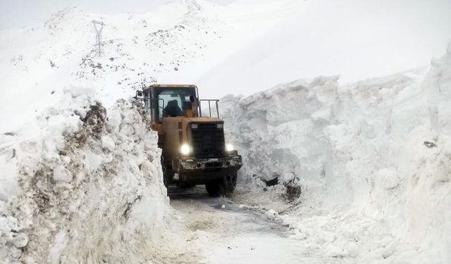 Bitlis’te Çığ Tehlikesi: Karlıtepe Köyü Yolunda Çalışmalar Askıya Alındı