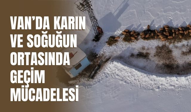 Van’da Karın ve Soğuğun Ortasında Geçim Mücadelesi