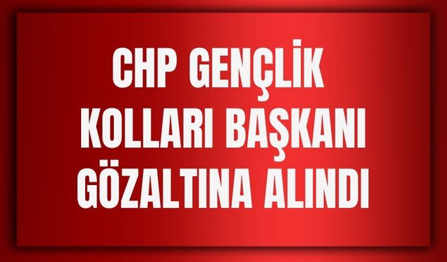 CHP Erzincan Gençlik Kolları Başkanı Gözaltına Alındı
