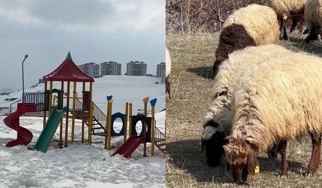 40 Kilometrede Kış ve Bahar Bir Arada