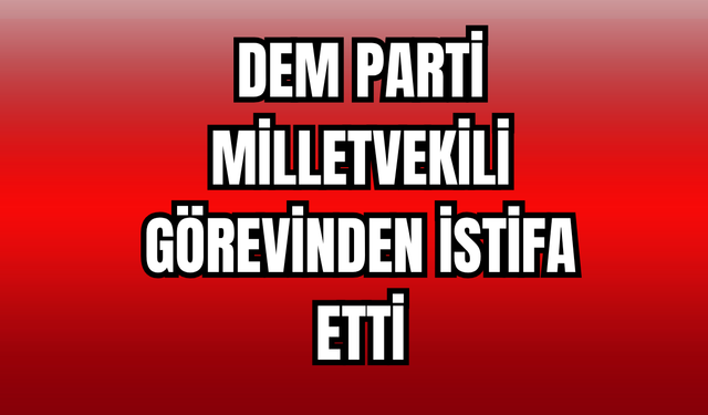 DEM Parti Milletvekili Saliha Aydeniz  Meclisteki Görevinden İstifa Etti