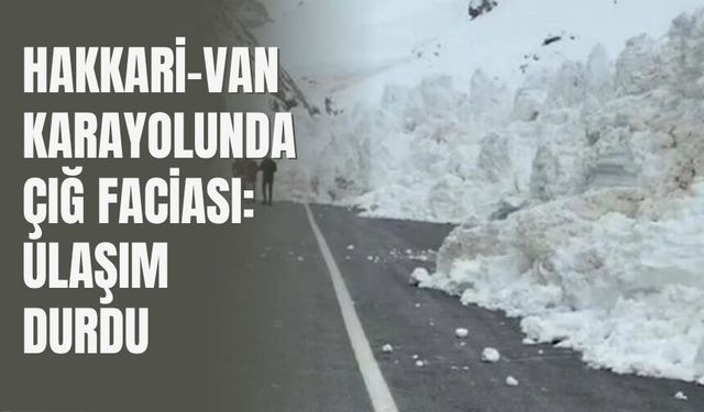 Hakkari-Van Karayolunda Çığ Faciası: Ulaşım Durdu
