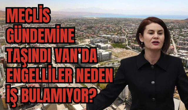 Van’da Engelli Gerçeği: 70 Bin Kişiden Sadece 1003’ü Çalışıyor!