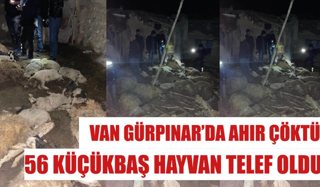 Van Gürpınar’da Ahır Çöktü: 56 Küçükbaş Hayvan Telef Oldu!