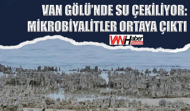 Van Gölü’nde Su Çekiliyor: Mikrobiyalitler Ortaya Çıktı