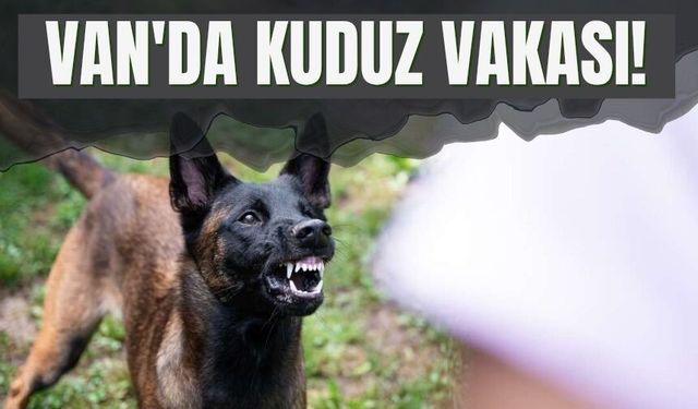 Van'da Kuduz Vakası!