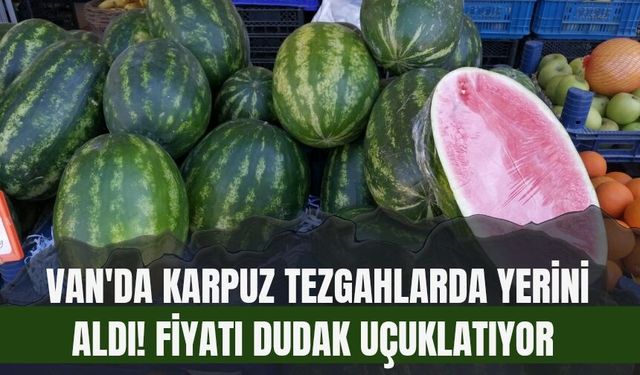 Van'da Karpuz Tezgahlarda Yerini Aldı! Fiyatı Dudak Uçuklatıyor