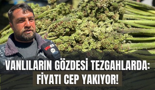 Vanlıların Gözdesi Tezgahlarda: Fiyatı Cep Yakıyor!