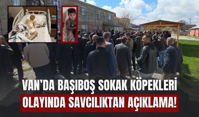 Van’da Başıboş Sokak Köpekleri Olayında Savcılıktan Açıklama!