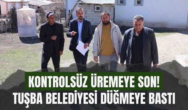 Tuşba’da Sahipsiz Köpekler İçin Kapsamlı Kayıt ve Kontrol Çalışması