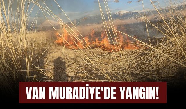 Van Muradiye'de Yangın!