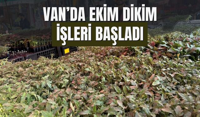 Van’da Ekim Dikim İşleri Başladı