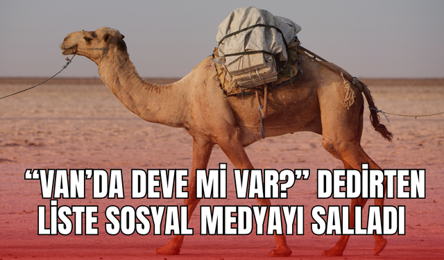 “Van’da Deve mi Var?” Dedirten Liste Sosyal Medyayı Salladı